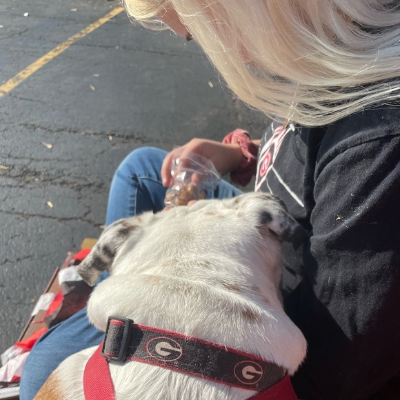 Meet your Posher, Emma - Picture 1 of 1